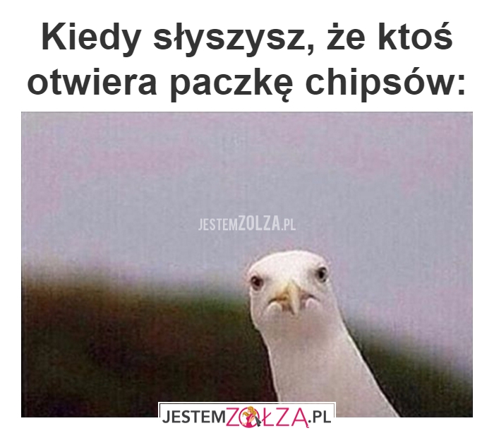 chipsy