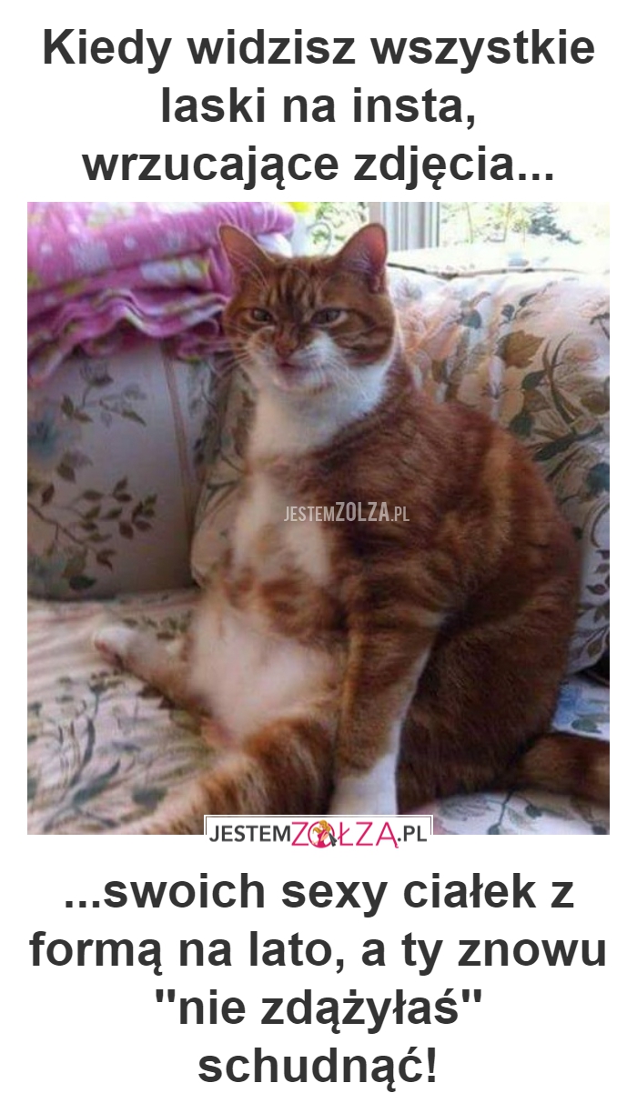 CO ZA PECH