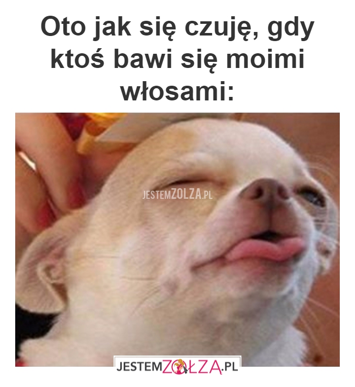 zabawa włosami