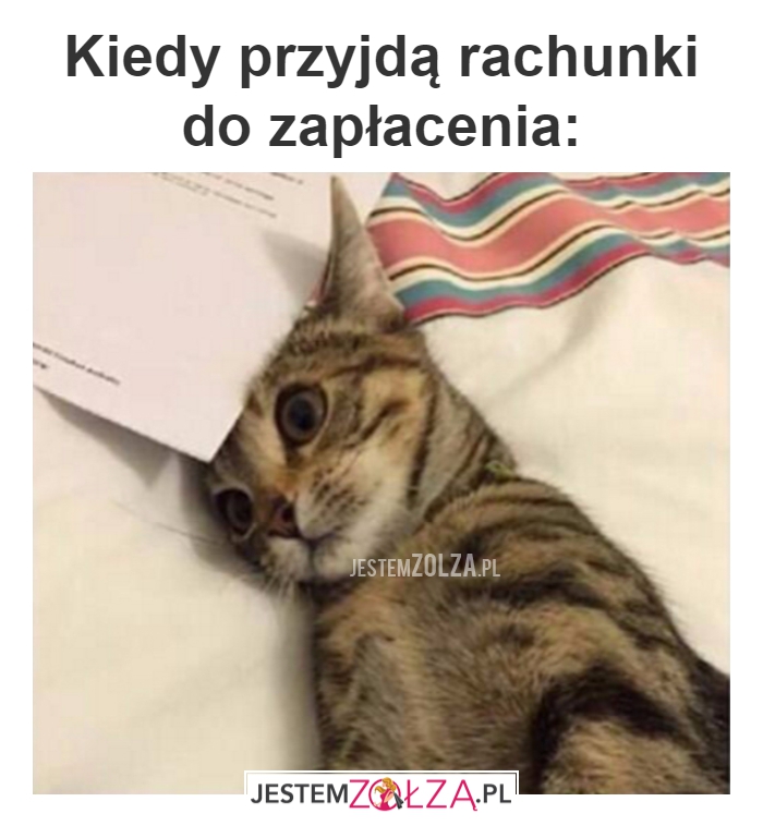 rachunki