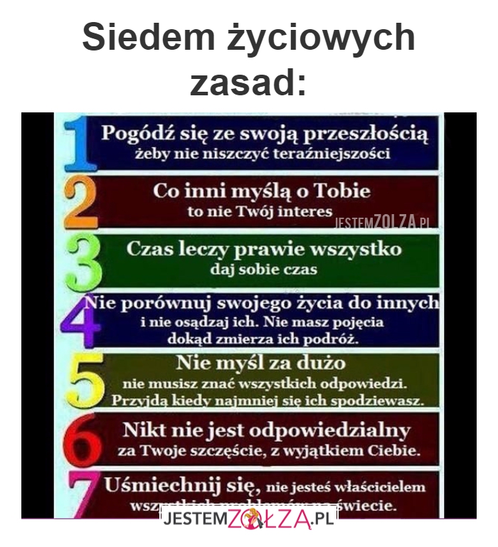 zasady