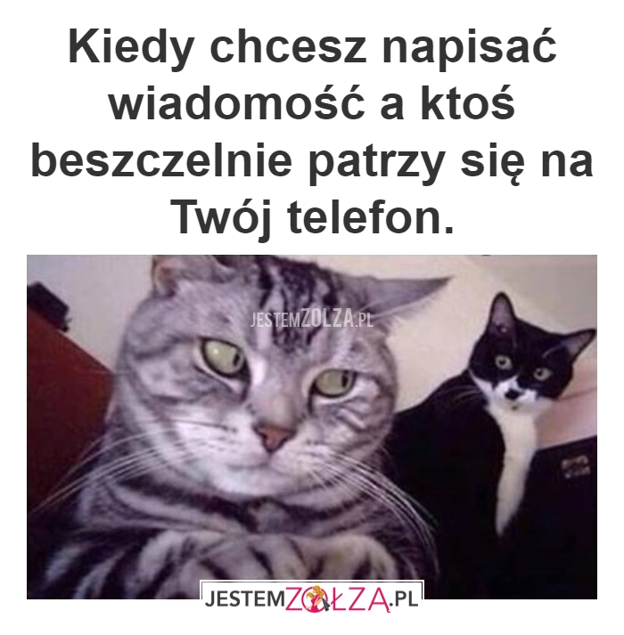 CZEGO SIĘ GAPISZ?