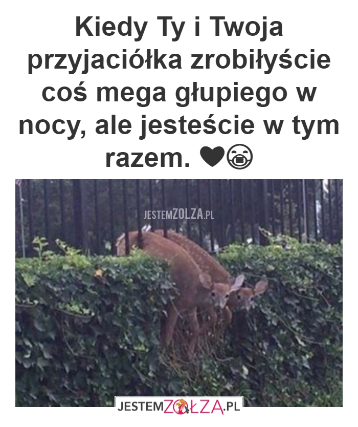 Wspólnie