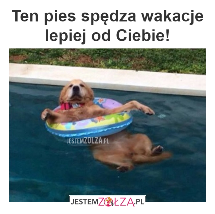 W SUMIE JAK KAŻDY
