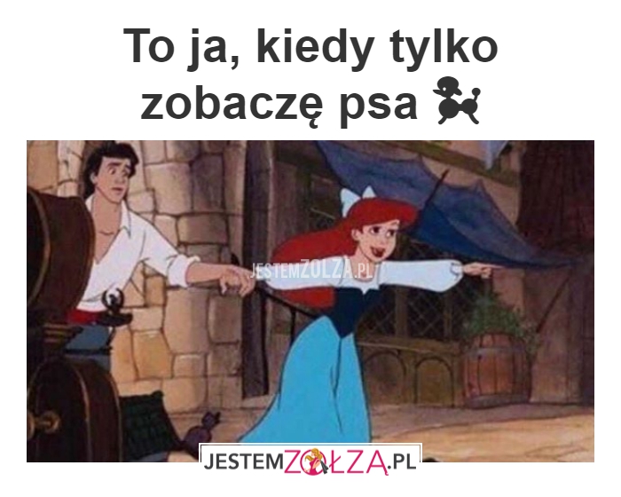 Na widok psa