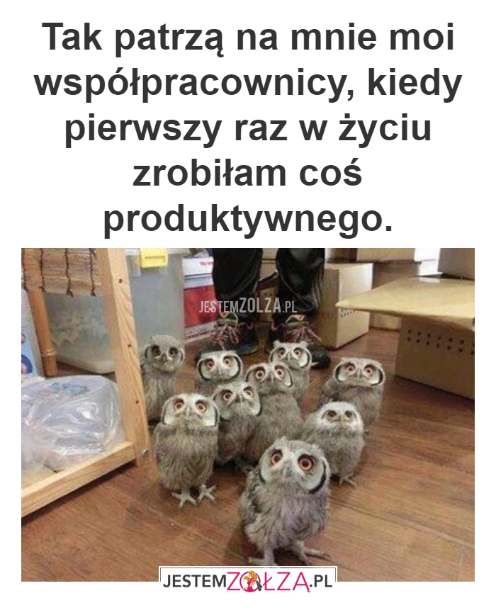 Wzrok współpracowników