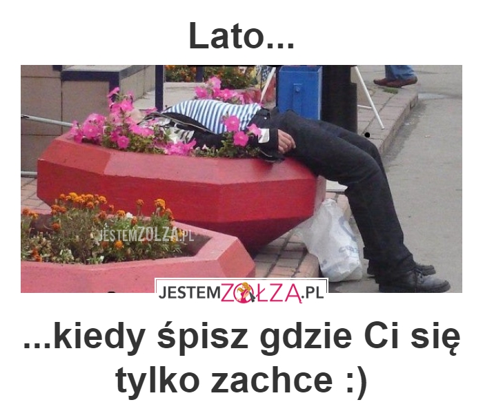 LATO