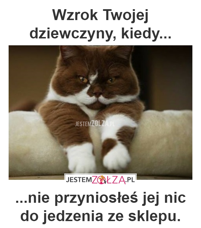 CZEMU TO ROBISZ?