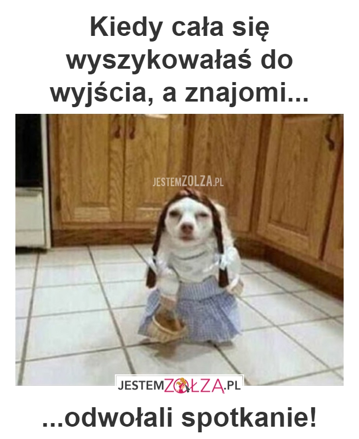 PRZYPAŁ
