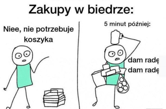 Damy radę