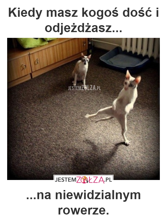 MAM GO DOSĆ!