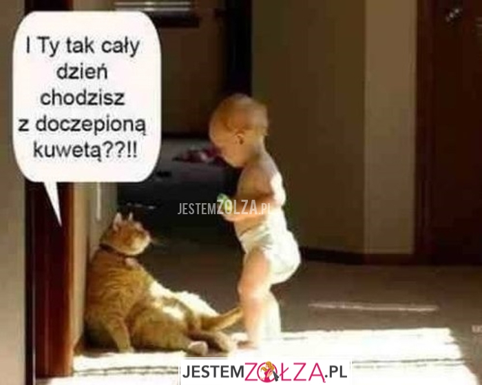 PYTANIE W SAMO SEDNO