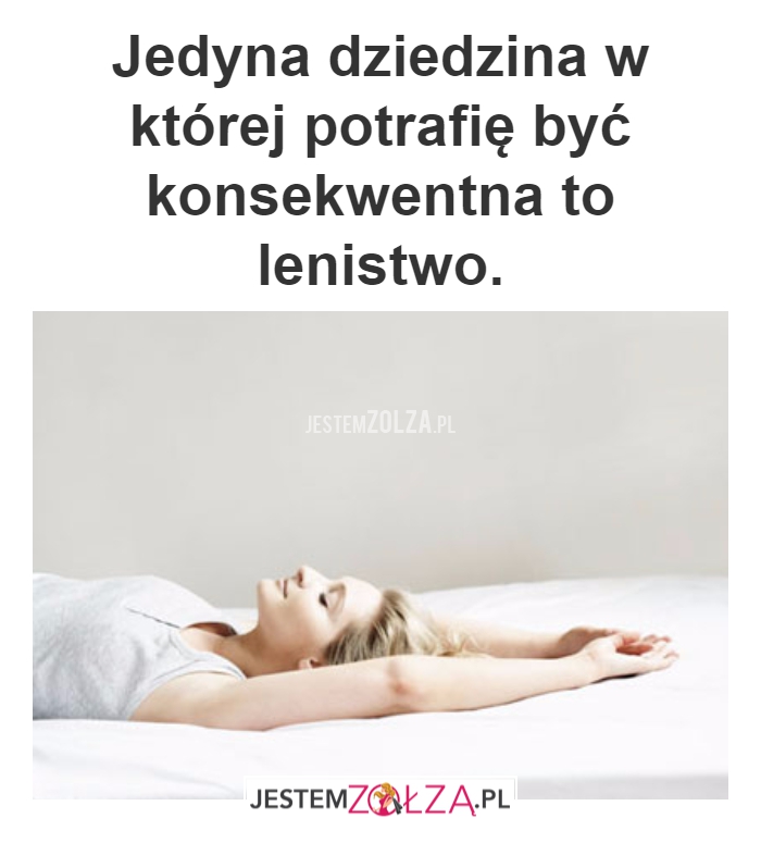 dziedzina