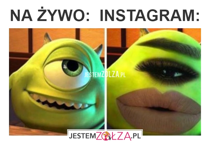 LASKI TAKIE SĄ