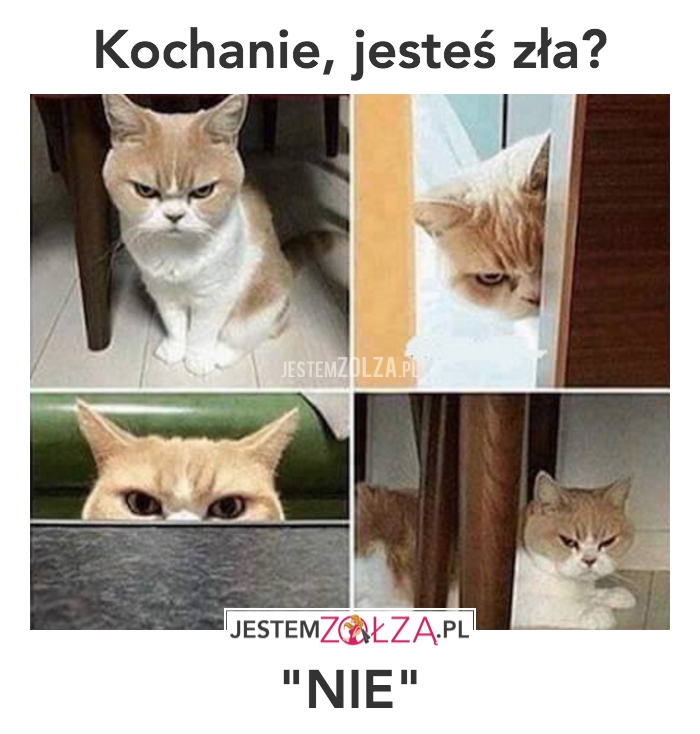 jesteś zła?
