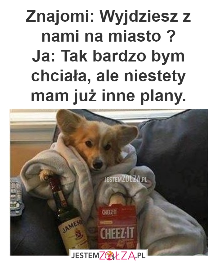 JUŻ MAM PLANY