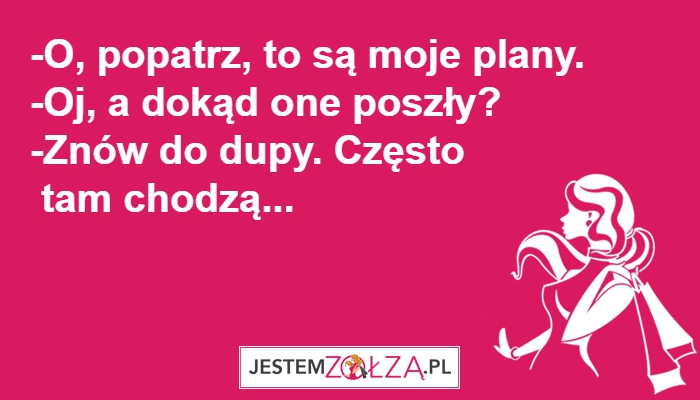 MOJE PLANY