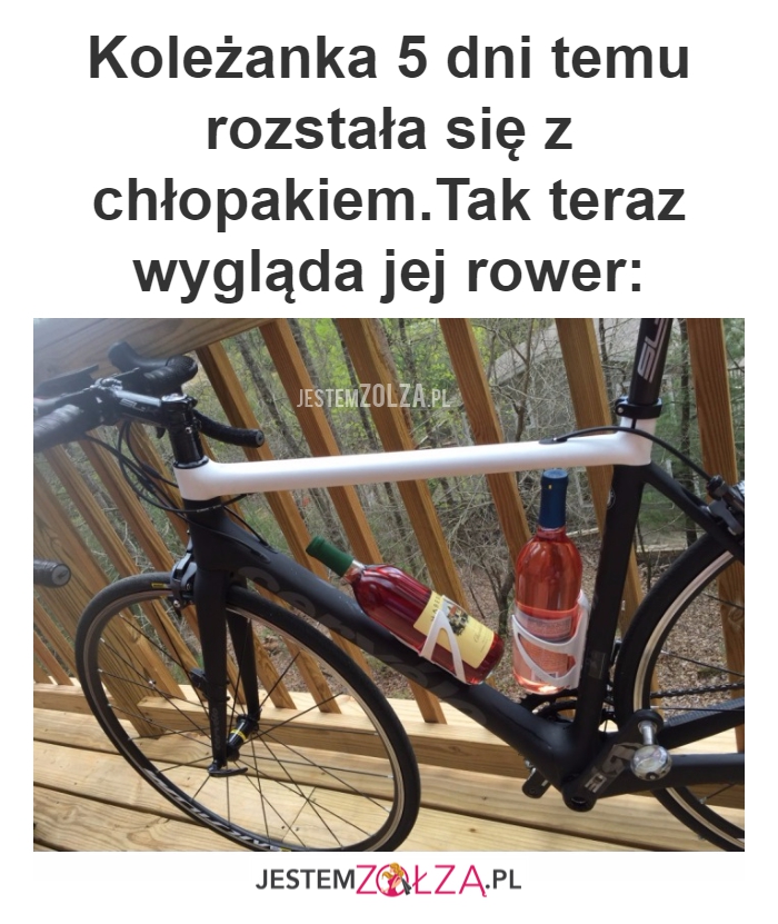 Rower