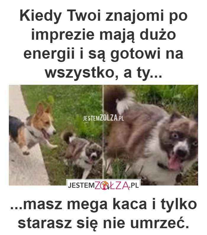 KIEDY TWOI ZNAJOMI ...