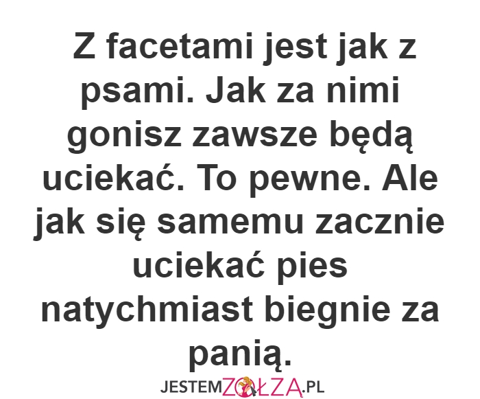 Jak z psami...