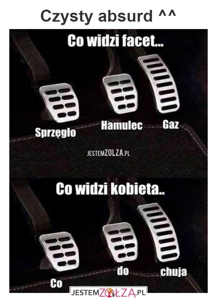 KOBIETY SIĘ ZGODZĄ? 