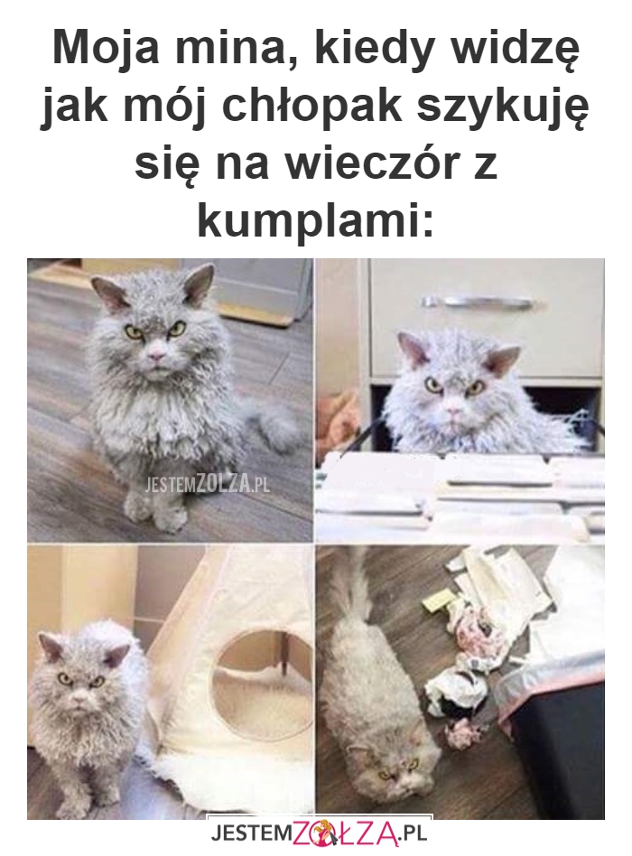 MOJA MINA