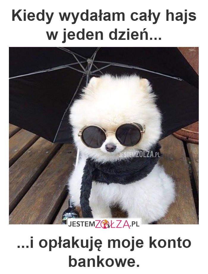 ŻAŁOBA