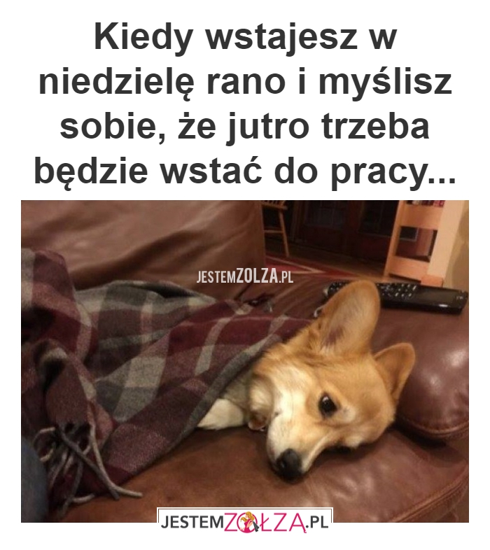 ZAŁAMKA