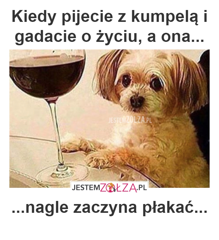 NO IDIOTKA ^^
