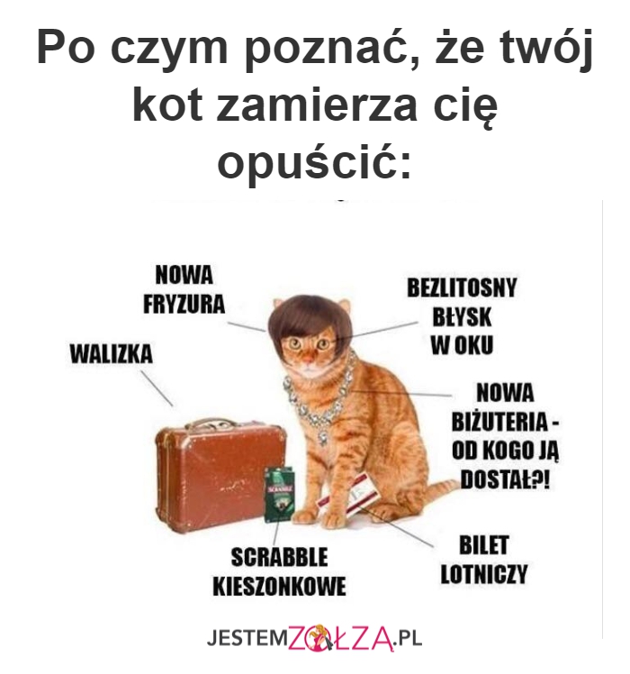 kot