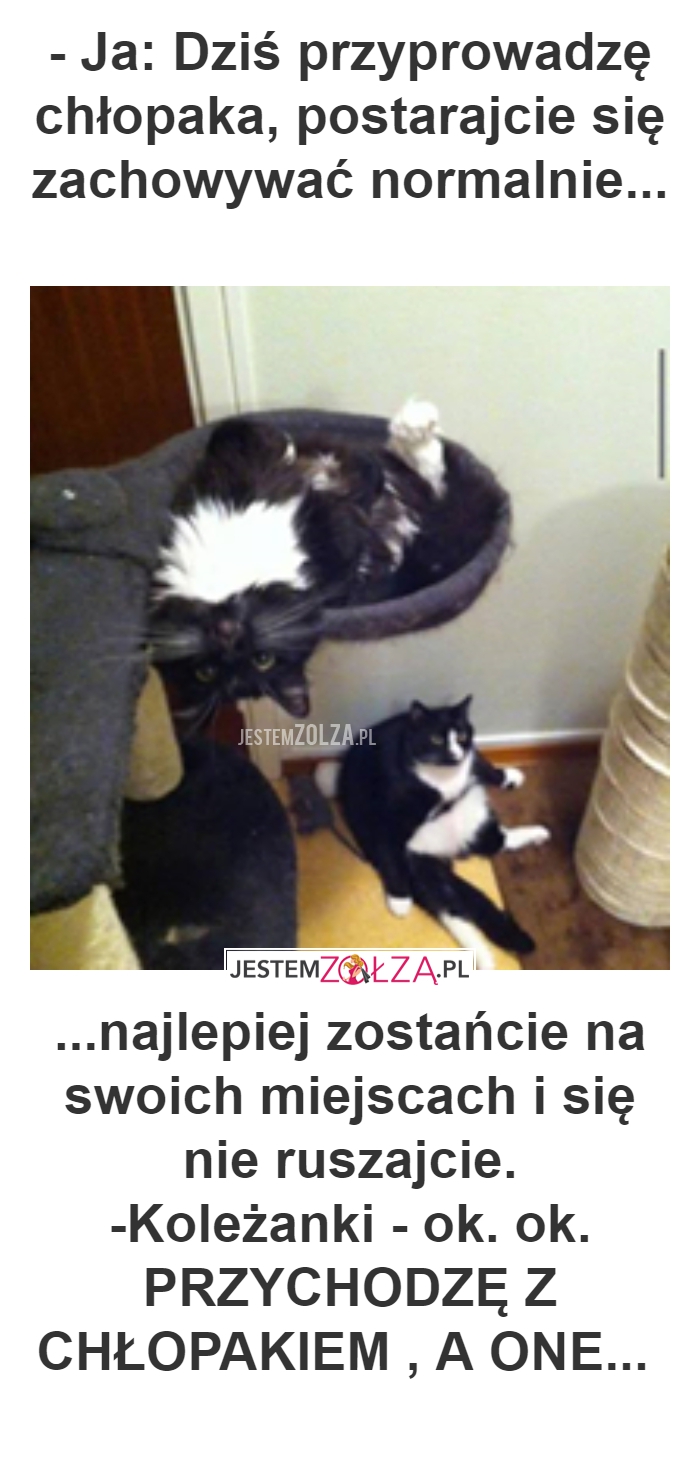 SŁOWA DO SERCA WZIĘTE