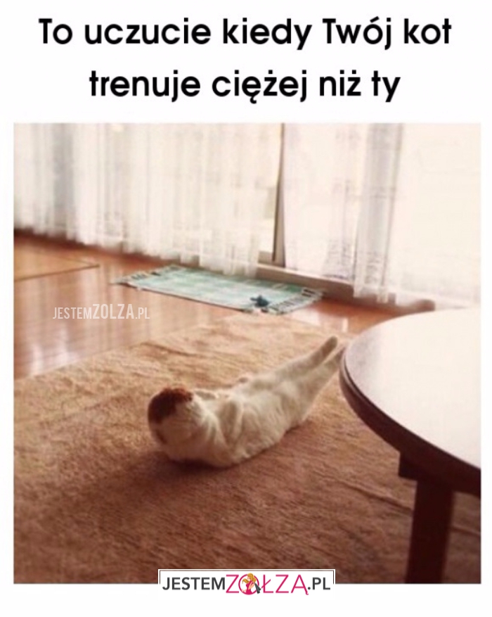Uczucie
