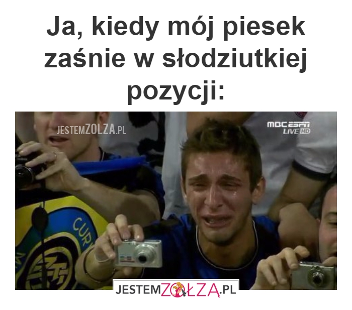 Mój piesek