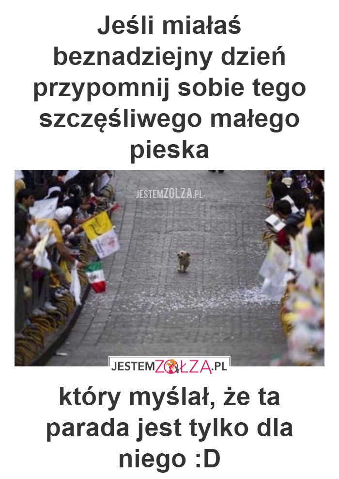 Co za dzień