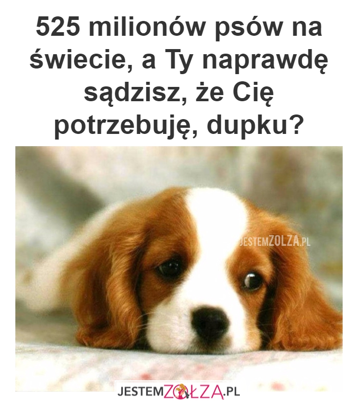 Huh, dupku?