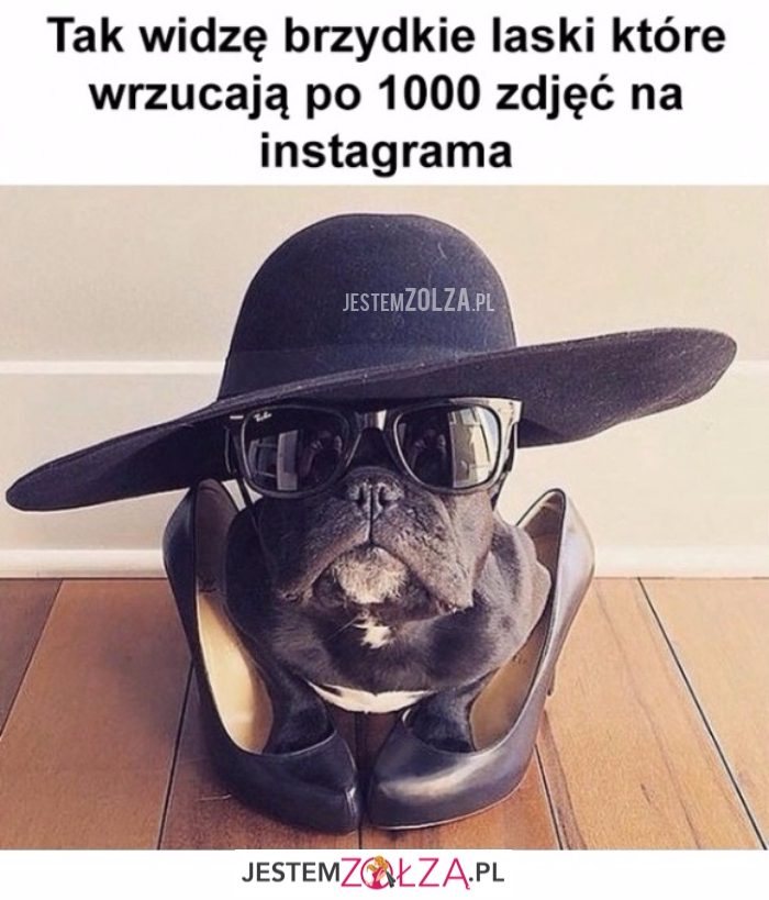 Tak widzę...