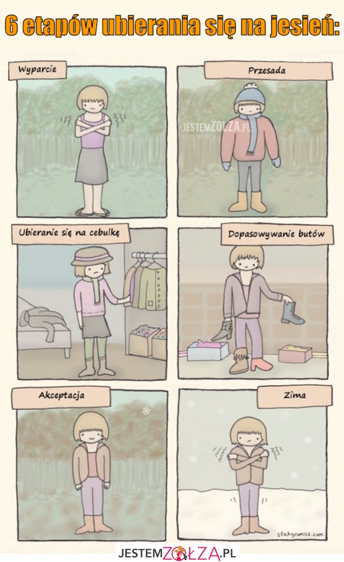 6 etapów