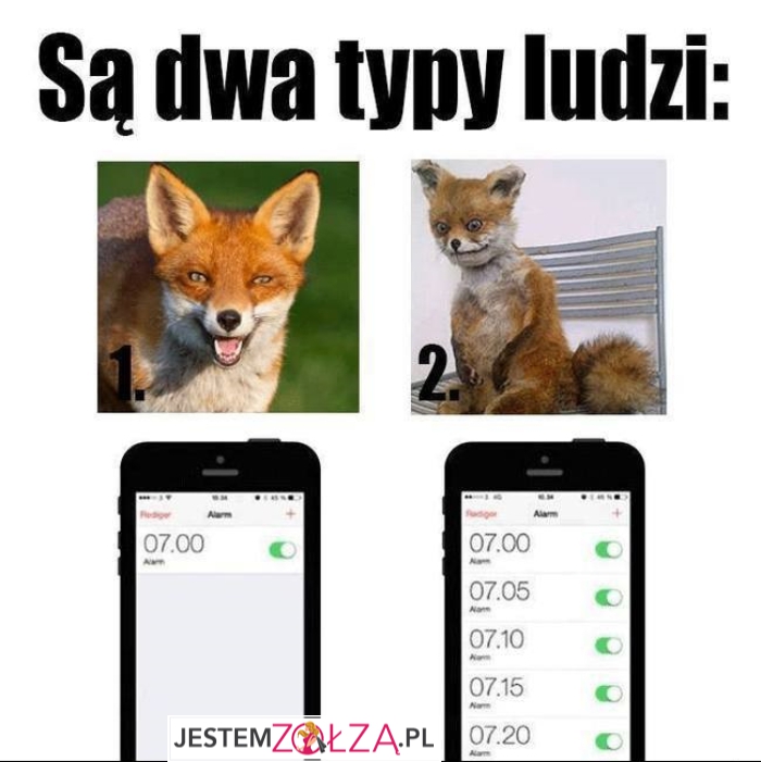 Dwa typy