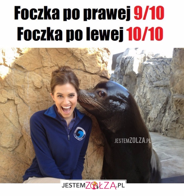 Foczka