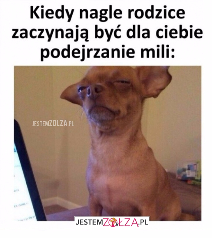 Podejrzanie mili