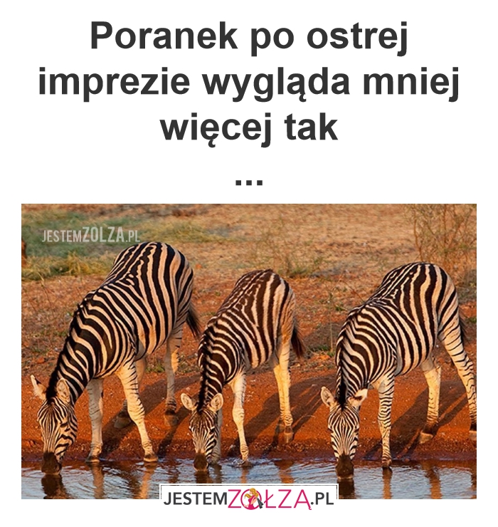 Po imprezie