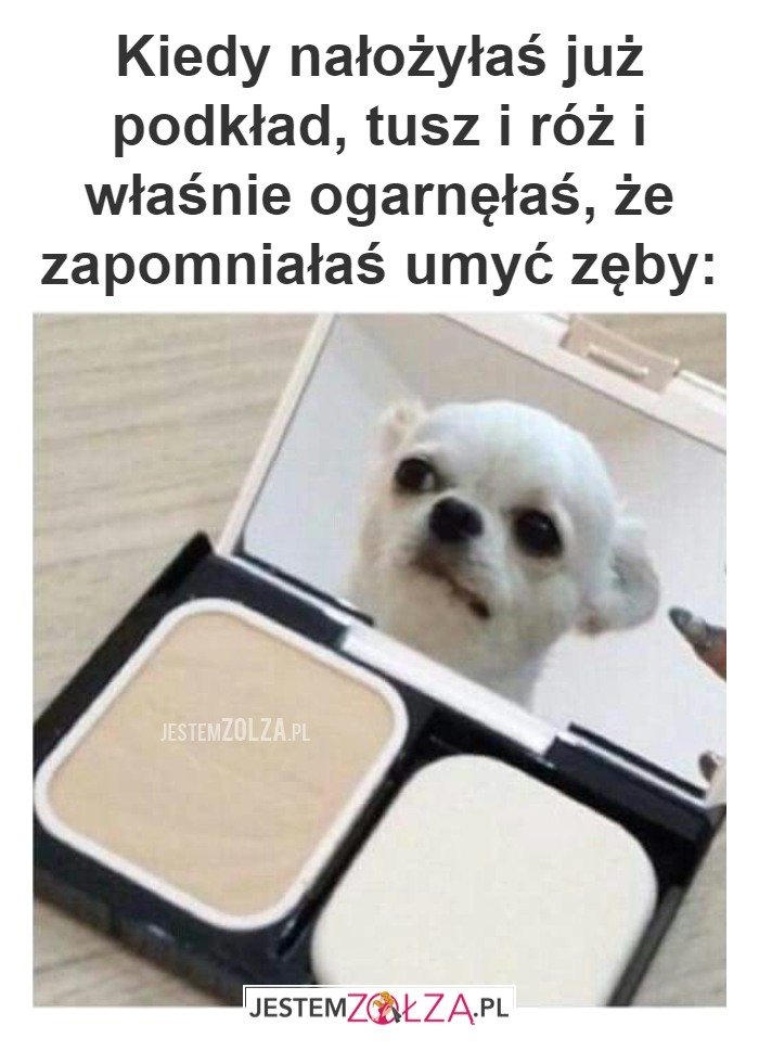 zęby