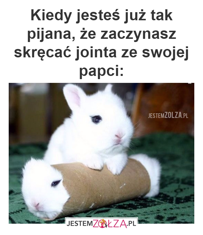 Papia