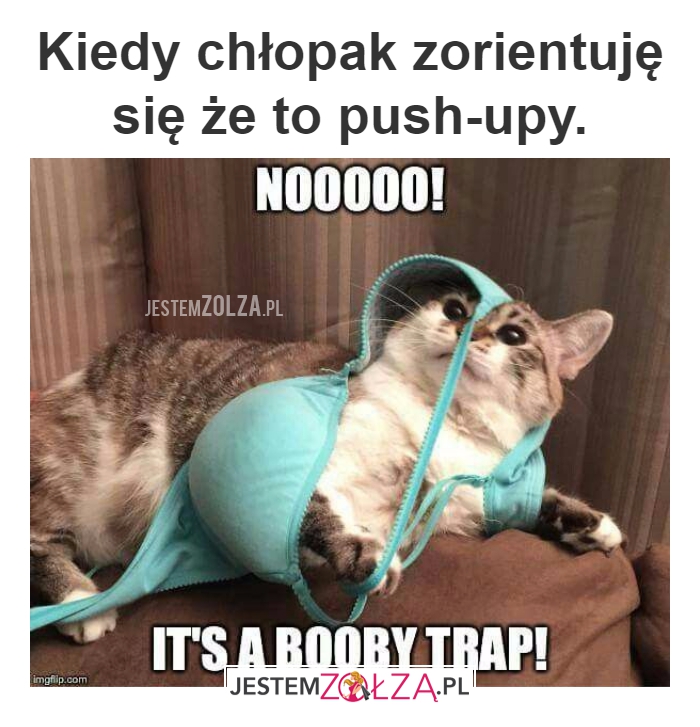 Pułapka
