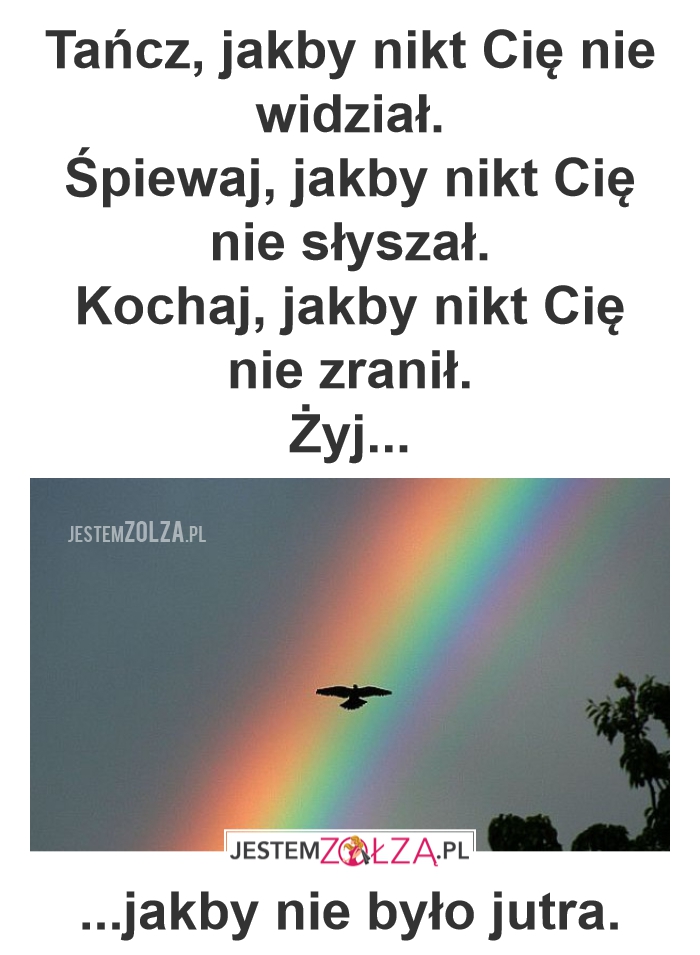 Żyj