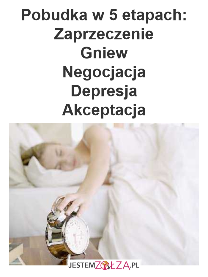 Pobudka