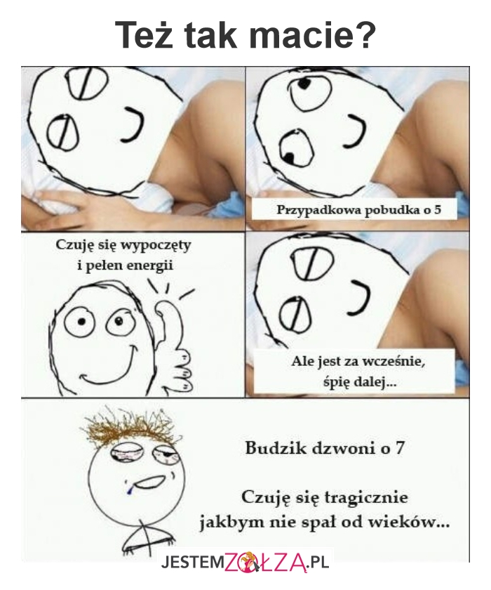 Pobudka