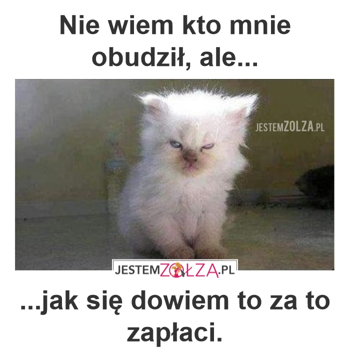 Niespodziewana pobudka