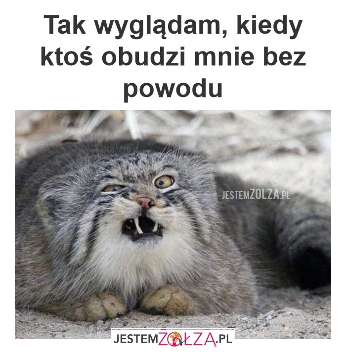 Po co?