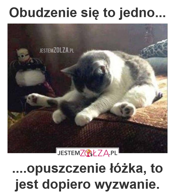 Poranki